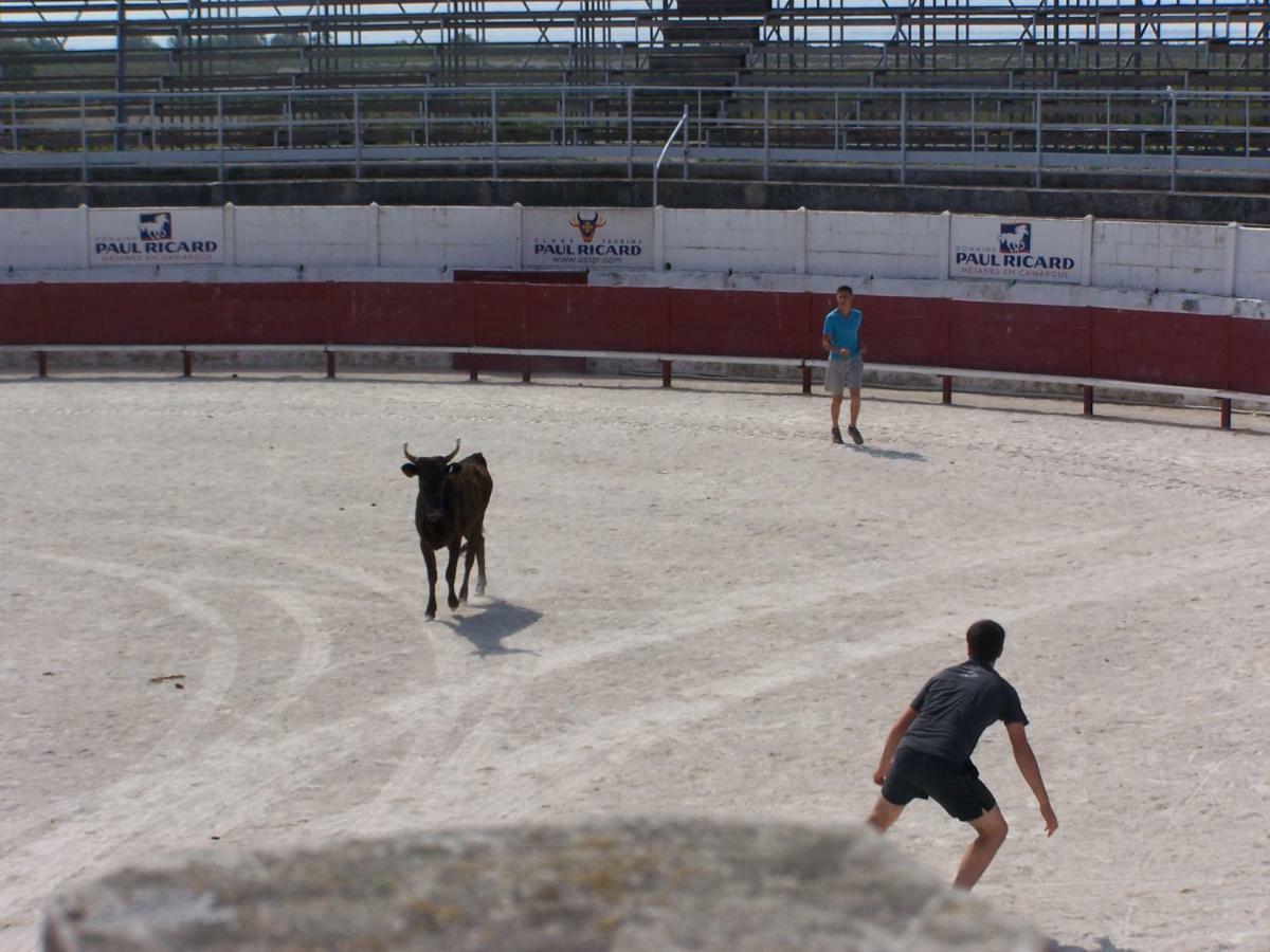 Mas Dou L'Estele Chambre D'Hotes Arles Eksteriør bilde